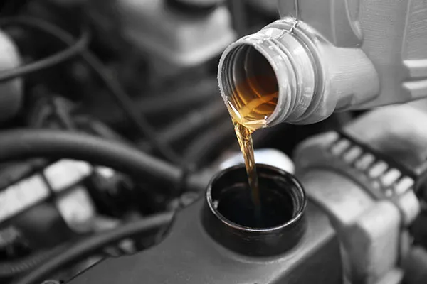 Close-up of European-spec oil and filters